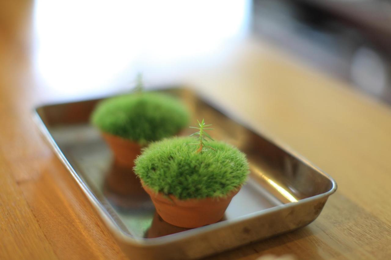 Bed and Breakfast Yakushima Minsyuku Suginoko Экстерьер фото